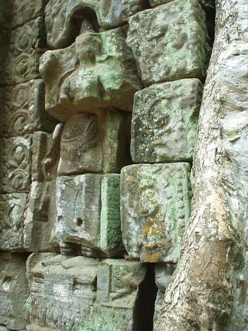 Disintegrating statue, Ta Prohm, Angkor.