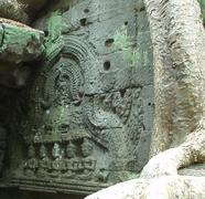 Roots squeezing rocks, Ta Prohm, Angkor.