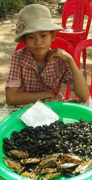 Girl selling roasted cockroaches and beetles, Siem Reap.