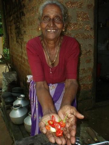 Keralan village woman showing chili peppers.