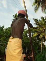 Keralan man punting a riverboat.