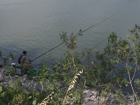 Man fishing in the Loire.  They all just use these long poles, no reel.