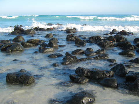 Tortuga Bay Beach, near Puerto Ayora on Santa Cruz island.