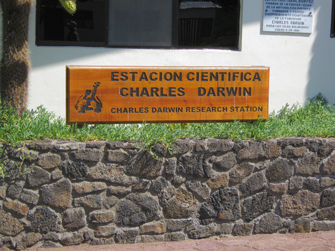 Charles Darwin research center, Puerto Ayora.