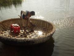 Man paddling water out of his coracle on the Tungabhadra river, Hampi.