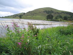 Loch Gur in Co. Limerick. This is an ancient lake with an ancient stone circle near it (which I didn't visit because I was eager to find a place to stay).