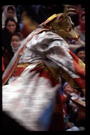 Dancer in deer costume at the winter festival at the Spituk Gompa, just outside of Leh in Ladakh, northern India.