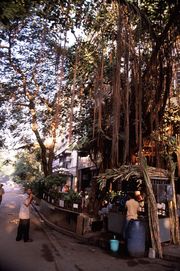Sugar cane juice stand, Mumbai.