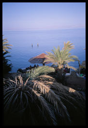 dahab_from_the_penguin