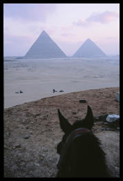 pyramids_and_horse