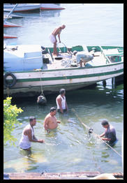 swimmin_with_schitsosomiasis_luxor